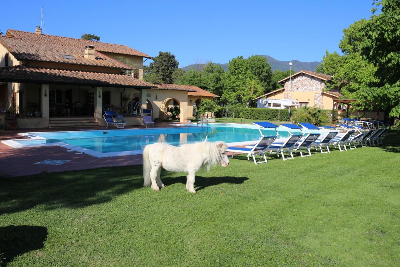 Podere San Paolo San Giuliano Terme Extérieur photo